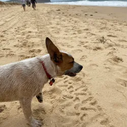 Redhead Beach - Lake Macquarie