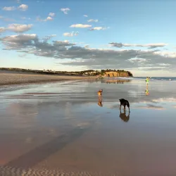 Redhead Beach - Lake Macquarie