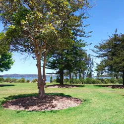 Speers Point Park - Lake Macquarie