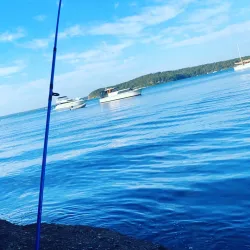 Wangi Wangi Peninsula - Lake Macquarie