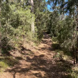 Wangi Wangi Peninsula - Lake Macquarie