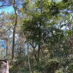 Wangi Wangi Peninsula - Lake Macquarie