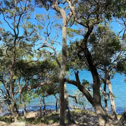 Wangi Wangi Peninsula - Lake Macquarie