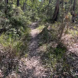 Wangi Wangi Peninsula - Lake Macquarie