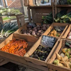 Harvest Launceston Community Farmers' Market - Launceston