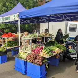 Harvest Launceston Community Farmers' Market - Launceston