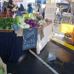 Harvest Launceston Community Farmers' Market - Launceston