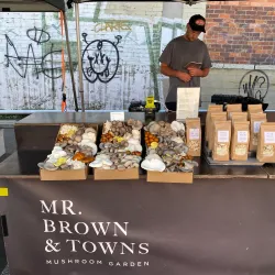 Harvest Launceston Community Farmers' Market - Launceston