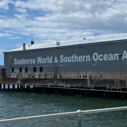 Seahorse World - Launceston