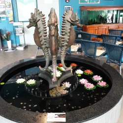 Seahorse World - Launceston
