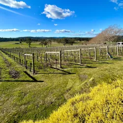 Tamar Valley Wine Region - Launceston