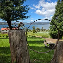 Tamar Valley Wine Region - Launceston