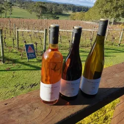 Tamar Valley Wine Region - Launceston