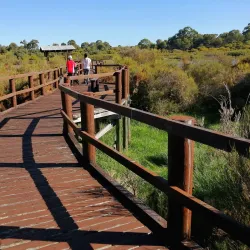 Booragoon Lake - Leeming