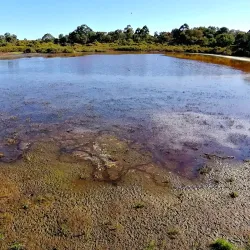 Booragoon Lake - Leeming