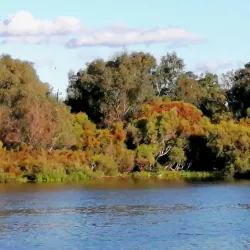 Booragoon Lake - Leeming