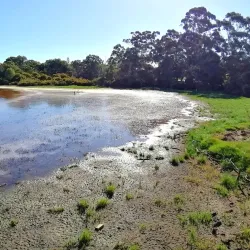 Booragoon Lake - Leeming