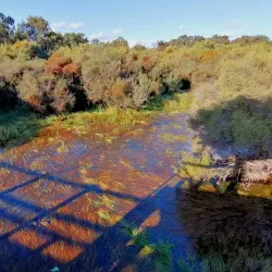 Booragoon Lake - Leeming