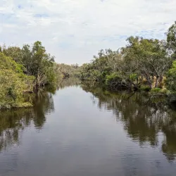 Canning Vale Regional Park - Leeming