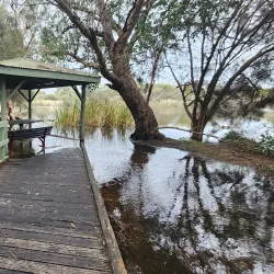 Canning Vale Regional Park - Leeming