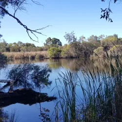Canning Vale Regional Park - Leeming