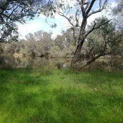 Canning Vale Regional Park - Leeming