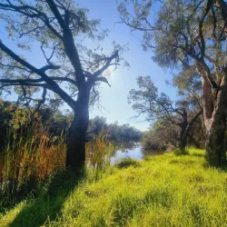 Canning Vale Regional Park - Leeming