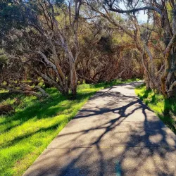 Canning Vale Regional Park - Leeming