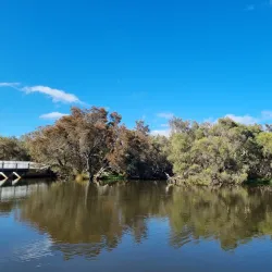 Canning Vale Regional Park - Leeming