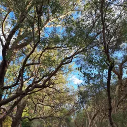 Canning Vale Regional Park - Leeming