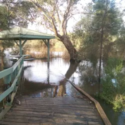 Canning Vale Regional Park - Leeming