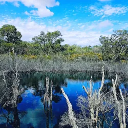 Jandakot Regional Park - Leeming