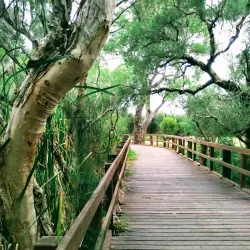 Kent Street Weir - Leeming