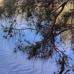 Kent Street Weir - Leeming