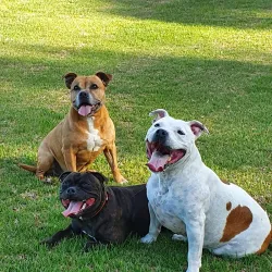 Leeming Park - Leeming