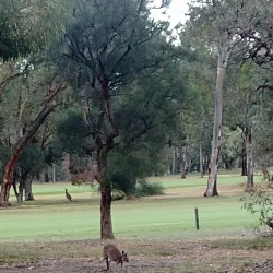 Leeming Park - Leeming