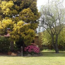 Leeming Park - Leeming