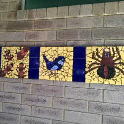 Leeming Primary School Oval - Leeming