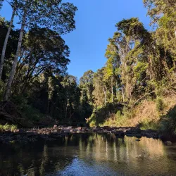 Big Scrub Rainforest Reserve - Lismore