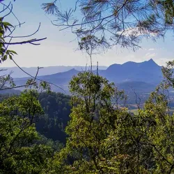 Nightcap National Park - Lismore