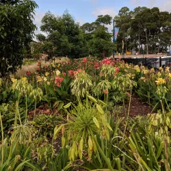 Bigge Park - Liverpool