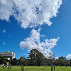 Bigge Park - Liverpool