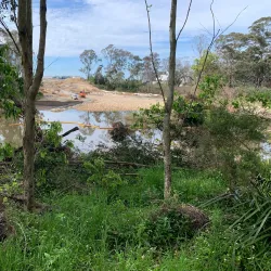 Casula Powerhouse Arts Centre - Liverpool