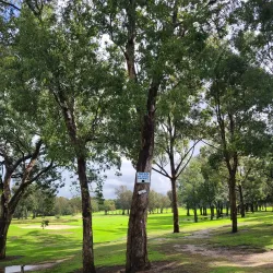 Liverpool Golf Club - Liverpool