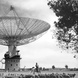 Liverpool Regional Museum - Liverpool
