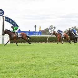 Warwick Farm Racecourse - Liverpool