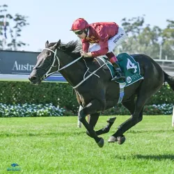 Warwick Farm Racecourse - Liverpool
