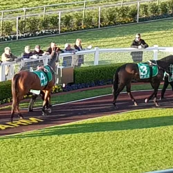 Warwick Farm Racecourse - Liverpool