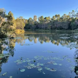 Berrinba Wetlands - Logan City