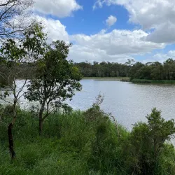 Berrinba Wetlands - Logan City